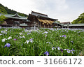 I will introduce the Palace hell shrine of Fukuoka prefecture, which is known for its trip to Kyushu, Japan's top shame and iris. 31666172
