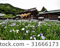 I will introduce the Palace hell shrine of Fukuoka prefecture, which is known for its trip to Kyushu, Japan's top shame and iris. 31666173