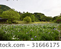 I will introduce the Palace hell shrine of Fukuoka prefecture, which is known for its trip to Kyushu, Japan's top shame and iris. 31666175