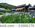 I will introduce the Palace hell shrine of Fukuoka prefecture, which is known for its trip to Kyushu, Japan's top shame and iris. 31666176