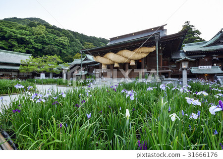 I will introduce the Palace hell shrine of Fukuoka prefecture, which is known for its trip to Kyushu, Japan's top shame and iris. 31666176