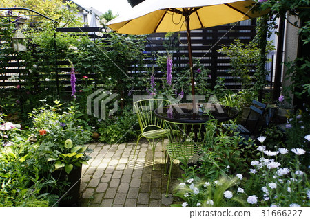Shade garden wood fence 31666227