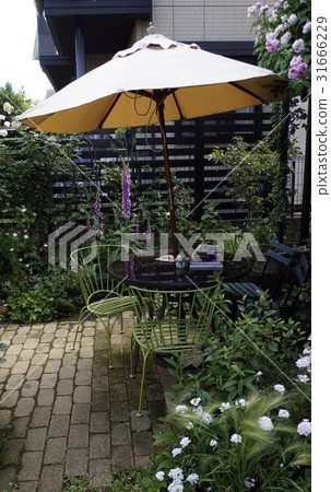 樹蔭花園木柵欄 31666229