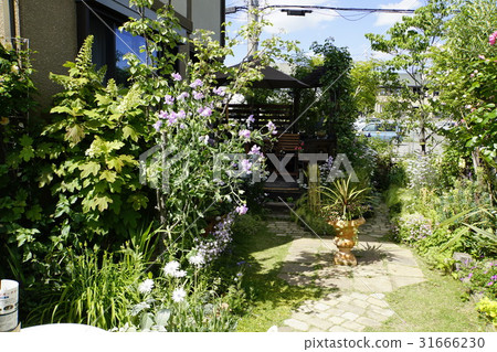 遮陽花園木甲板 31666230