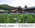 I will introduce Miya Hell Shrine, famous for the trip to Kyushu, Japan's best shimei and Edo irises. 31666255