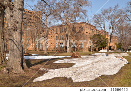 札幌步行:綜合性博物館(原科學系主樓)北海道大學校園 札幌步行:綜合性博物館(原科學系主樓)北海道大學校園 31666453