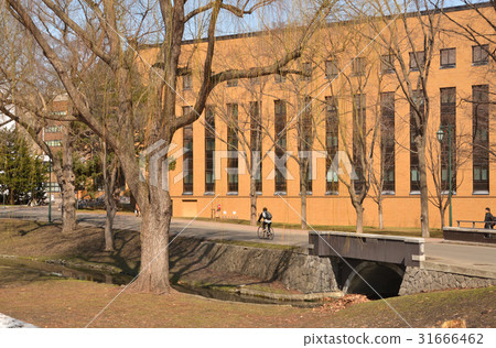 札幌步行：北海道大學帆布 31666462