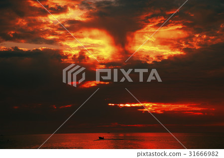 慶北郡Youngdeok-gun 慶北郡Youngdeok-gun 31666982