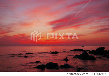 慶北郡Youngdeok-gun 31666984