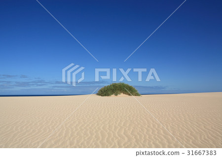 澳大利亞 澳大利亞 31667383