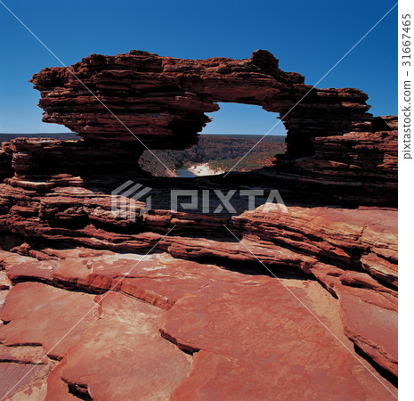 澳大利亞卡爾巴里國家公園 31667465