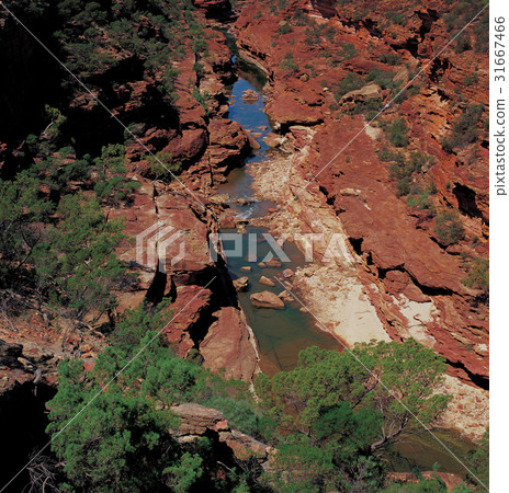 Kalbarri National Park, Australia 31667466