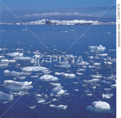 Antarctica 31667474