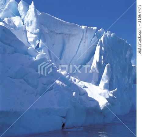 Antarctica 31667475