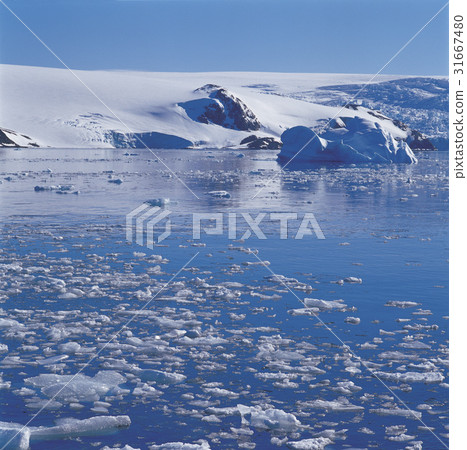 Antarctica 31667480