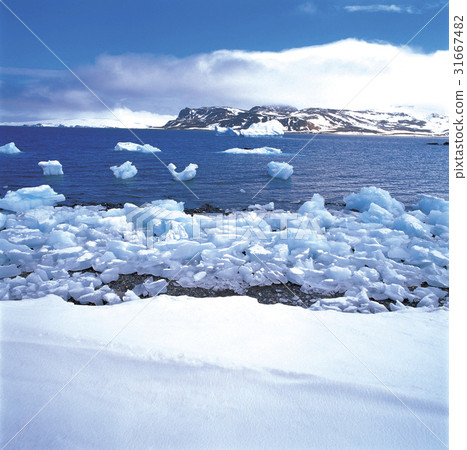Antarctica Antarctica 31667482