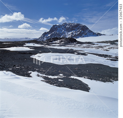 Antarctica Antarctica 31667483