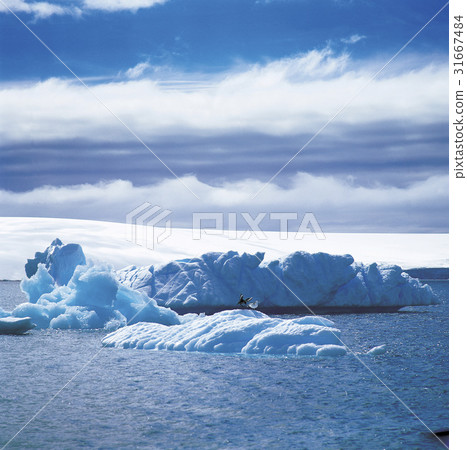 Antarctica Antarctica 31667484