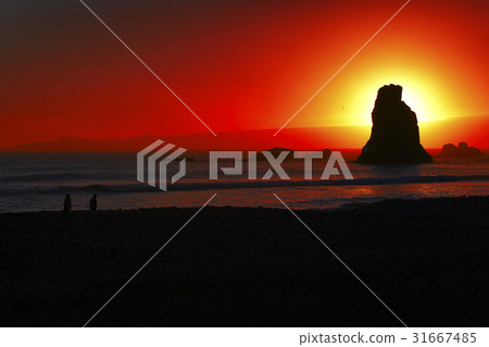 Antarctica Antarctica 31667485