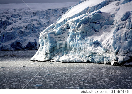Antarctica Antarctica 31667486