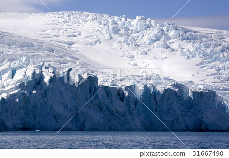 Antarctica 31667490