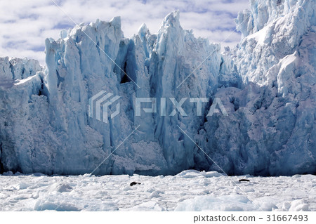 Antarctica Antarctica 31667493