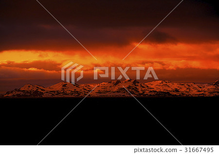 Antarctica Antarctica 31667495