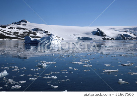 Antarctica Antarctica 31667500