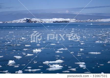 Antarctica Antarctica 31667501