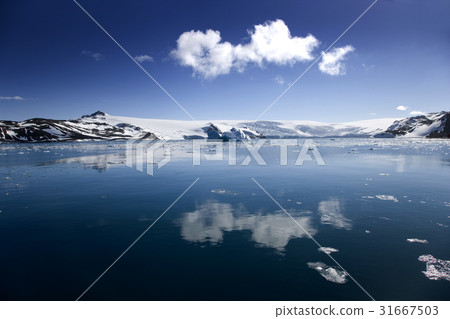 Antarctica Antarctica 31667503