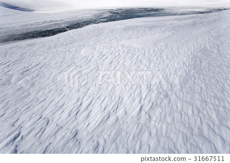 Antarctica Antarctica 31667511