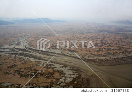 京畿道Shihwa湖 31667588