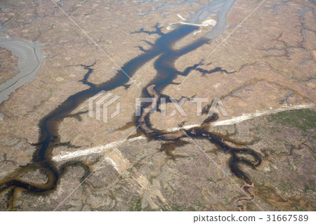 京畿道Shihwa湖 31667589