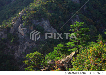 Mangyongdae，Soraksan，江原道 31667615