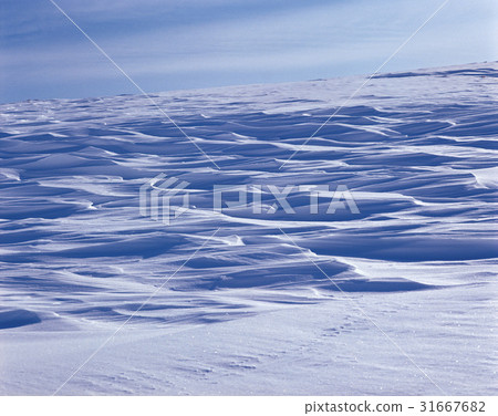 冬天 雪景 自然 31667682