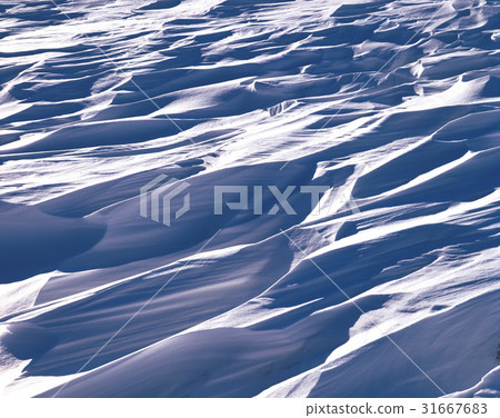 冬天 雪景 自然 31667683