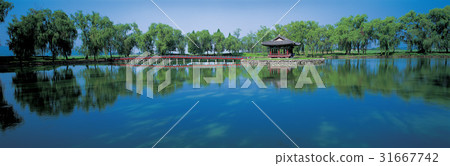 Gangnamji, Buyeo, Chungnam 31667742