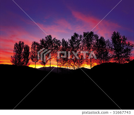 Seocheon-gun, Chungnam Seocheon-gun, Chungnam 31667743