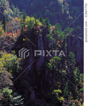 江原道雪嶽山 31667750