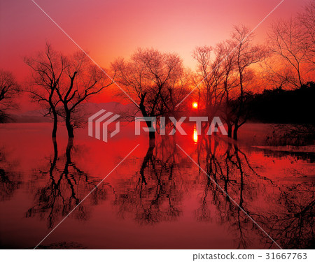 Joonam Reservoir, Changwon City, Gyeongnam Joonam Reservoir, Changwon City, Gyeongnam 31667763