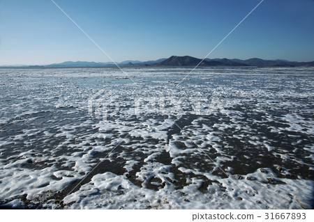Suncheon Bay, Suncheon City, Jeonnam 31667893