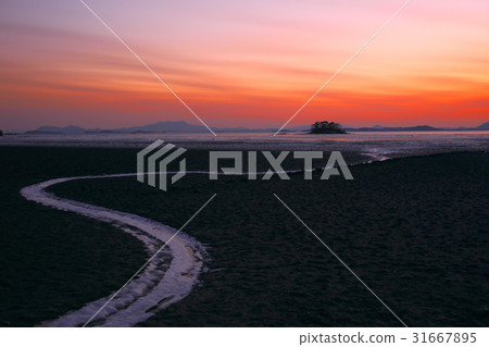 Suncheon Bay, Suncheon City, Jeonnam 31667895