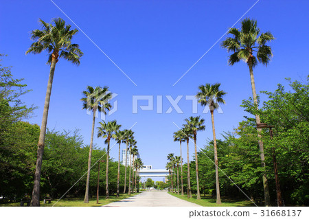 Sea breeze park 31668137