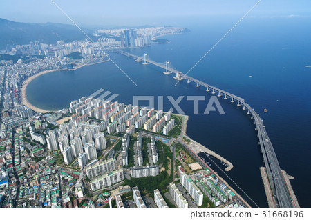 Gwangan Bridge，Gwangalli Beach，Suyu-gu，Busan 31668196