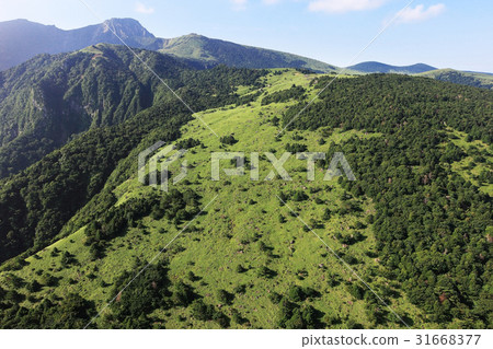 Halla Mountain, Jeju Island 31668377