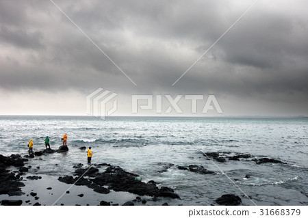 Sea fishing, Gujwa eup, Jeju city, Jeju island 31668379