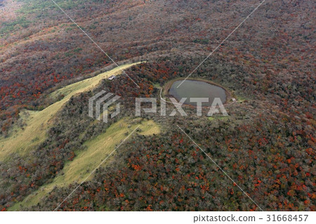 Saroraom, Seogwipo City, Jeju Island Saroraom, Seogwipo City, Jeju Island 31668457