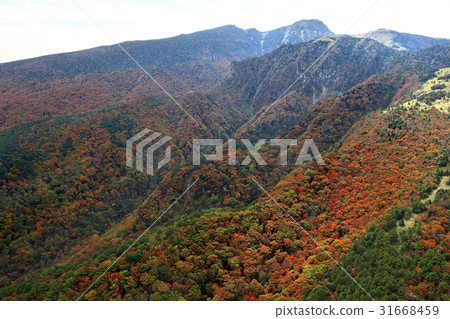 Halla Mountain, Jeju Island 31668459