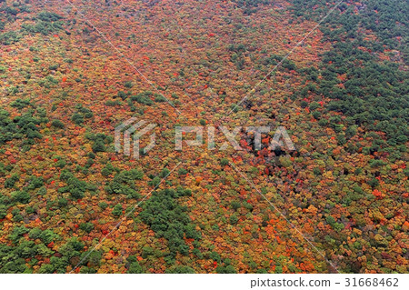 Halla Mountain, Jeju Island 31668462