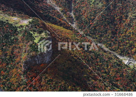 Mausoleum of the Crown, Halla Mountain, Jeju City, Jeju Island 31668486